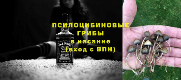 прущий лед Дмитровск