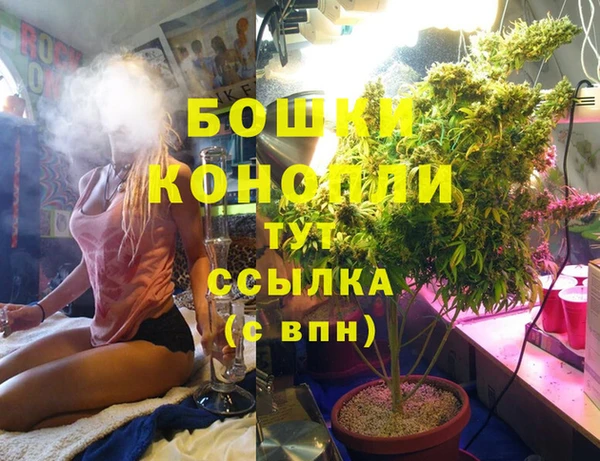 прущий лед Дмитровск