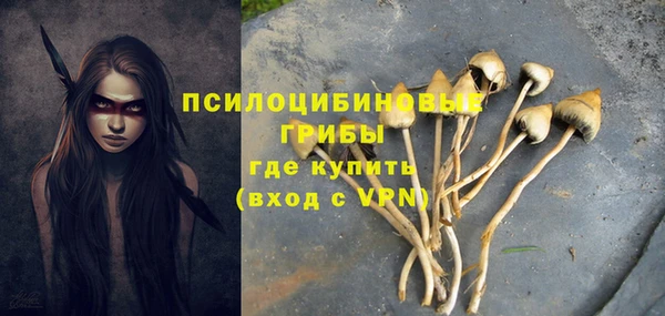 кокаин премиум Ельня