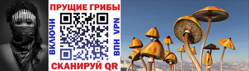 shop состав  Лысьва  Галлюциногенные грибы GOLDEN TEACHER 